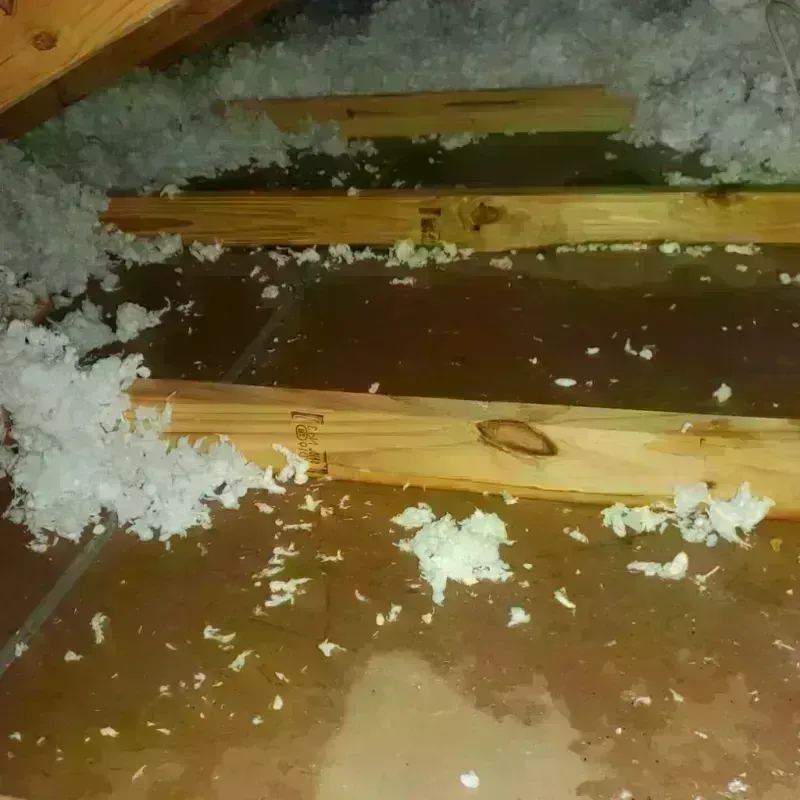 Attic Water Damage in Jackpot, NV