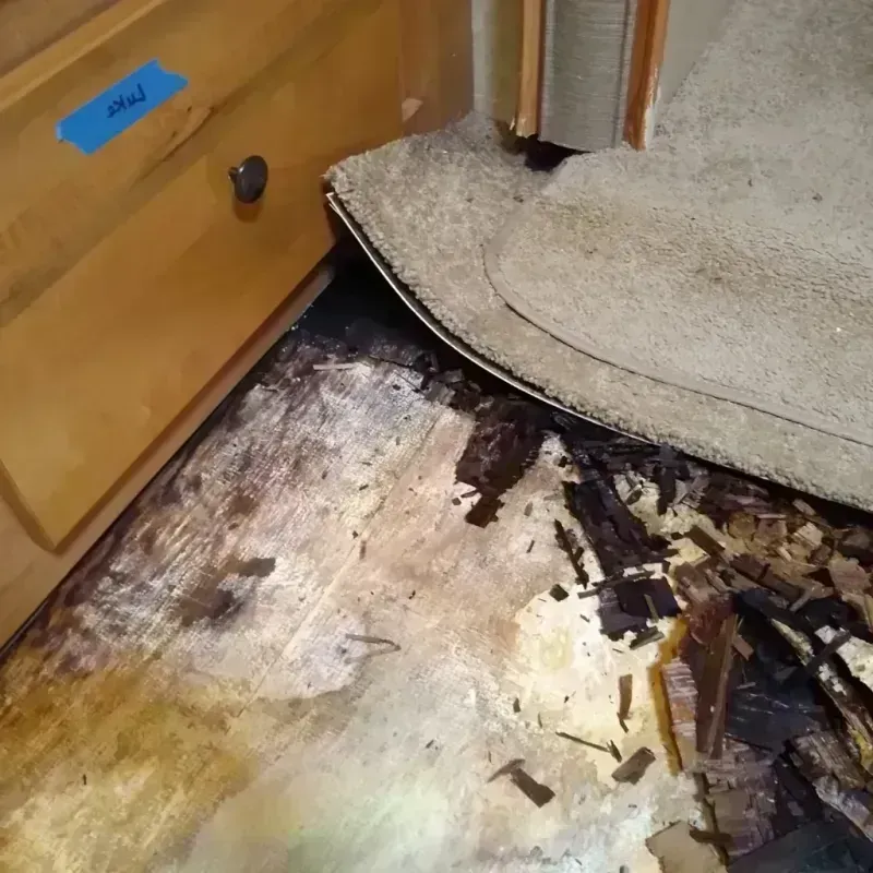 Wood Floor Water Damage in Jackpot, NV